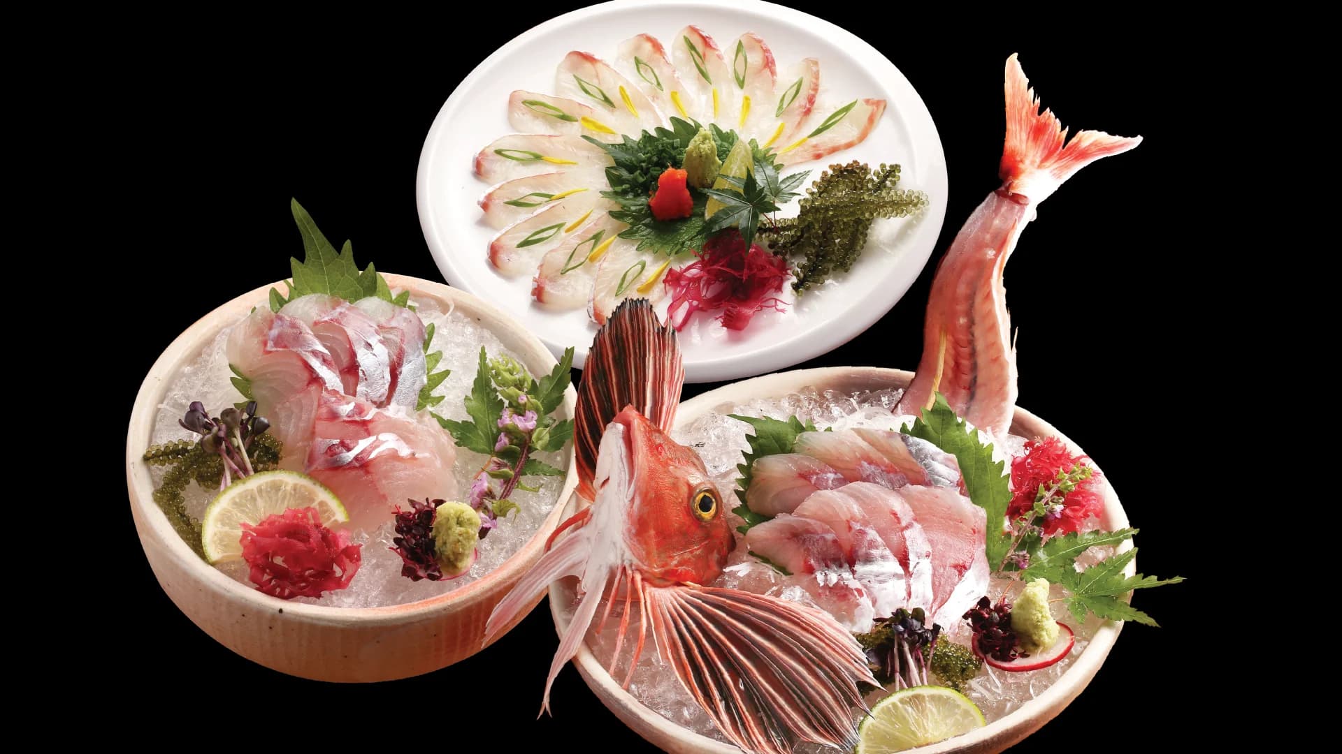 Sushi Hokkaido Sachi