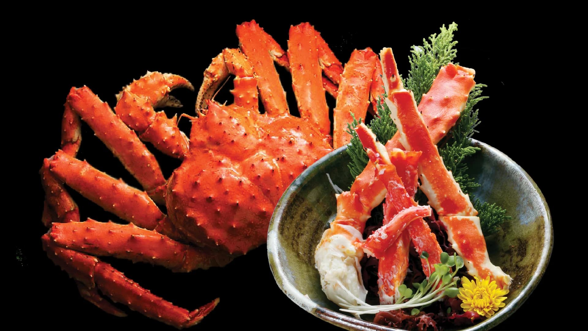 Sushi Hokkaido Sachi