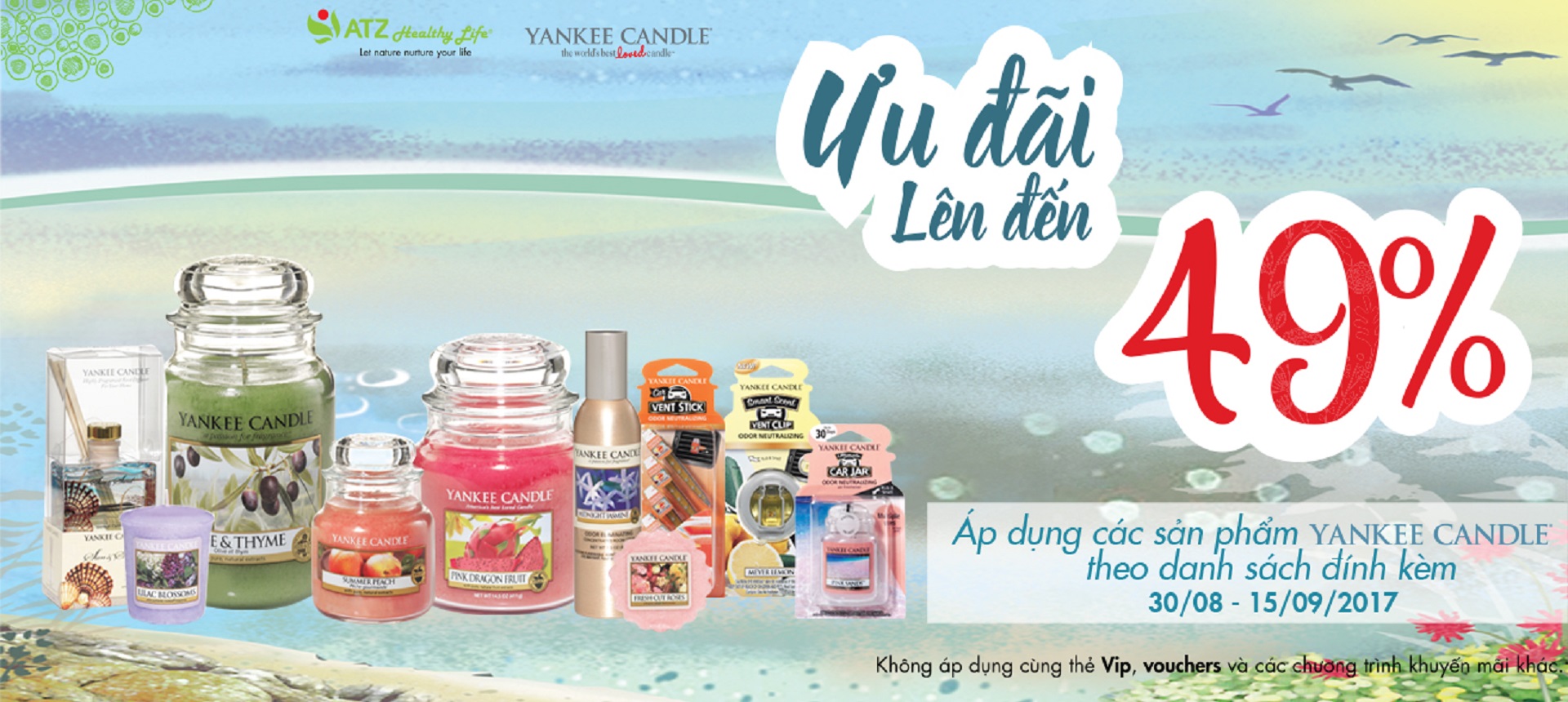 SALE 49% - YANKEE DEAL